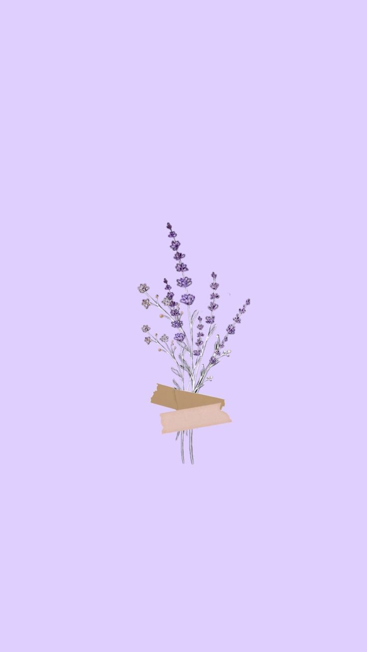 Cute LavenderWallpapers