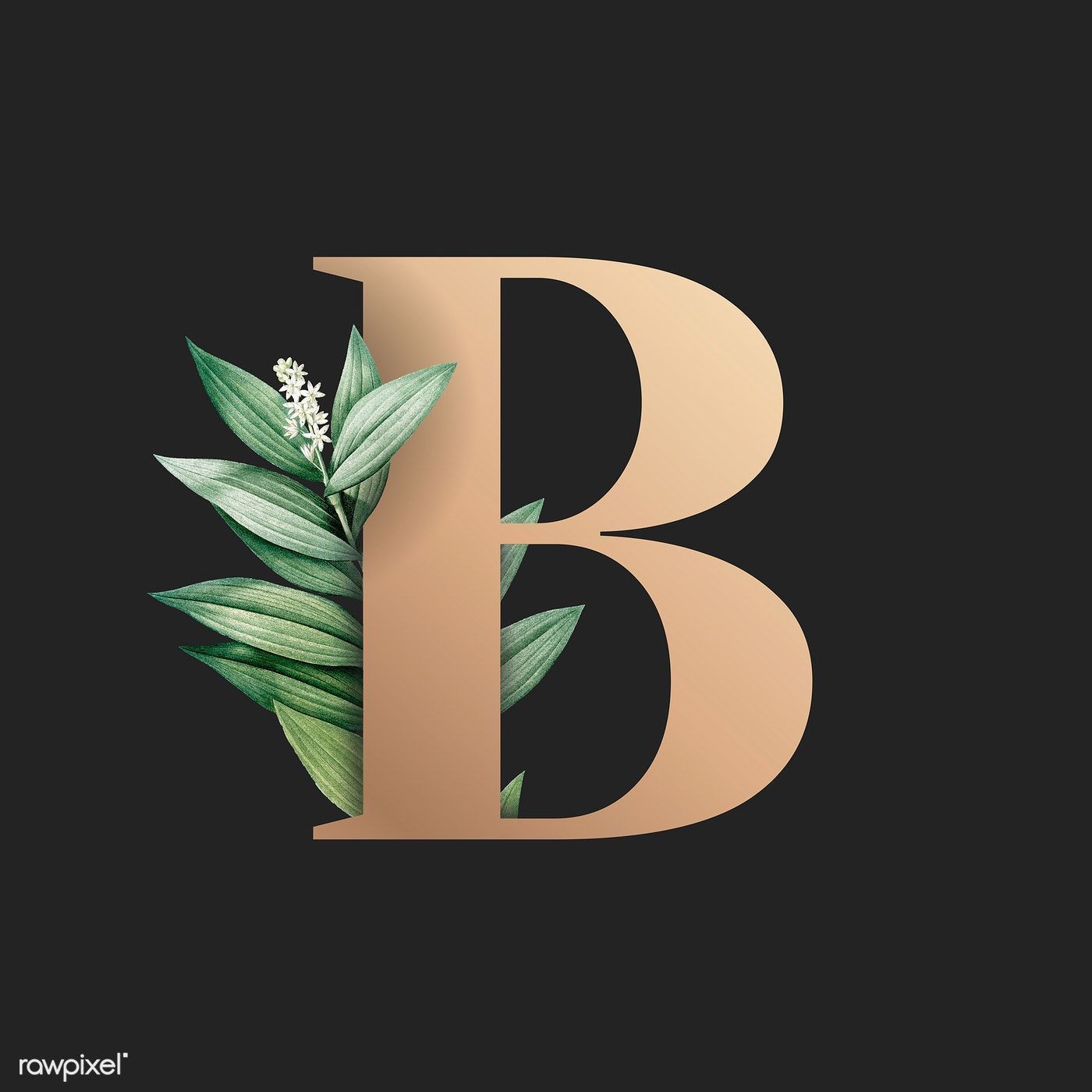 Cute Letter B Wallpapers