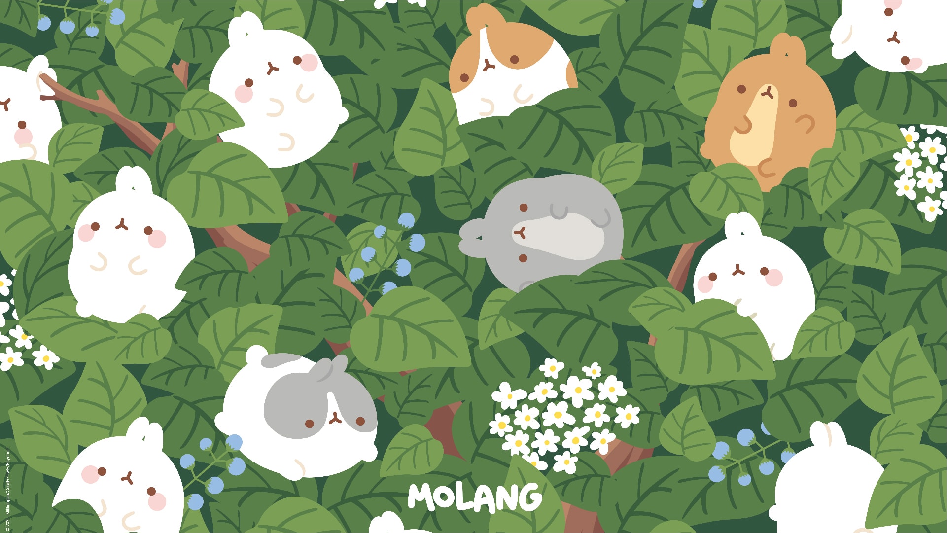 Cute MolangWallpapers