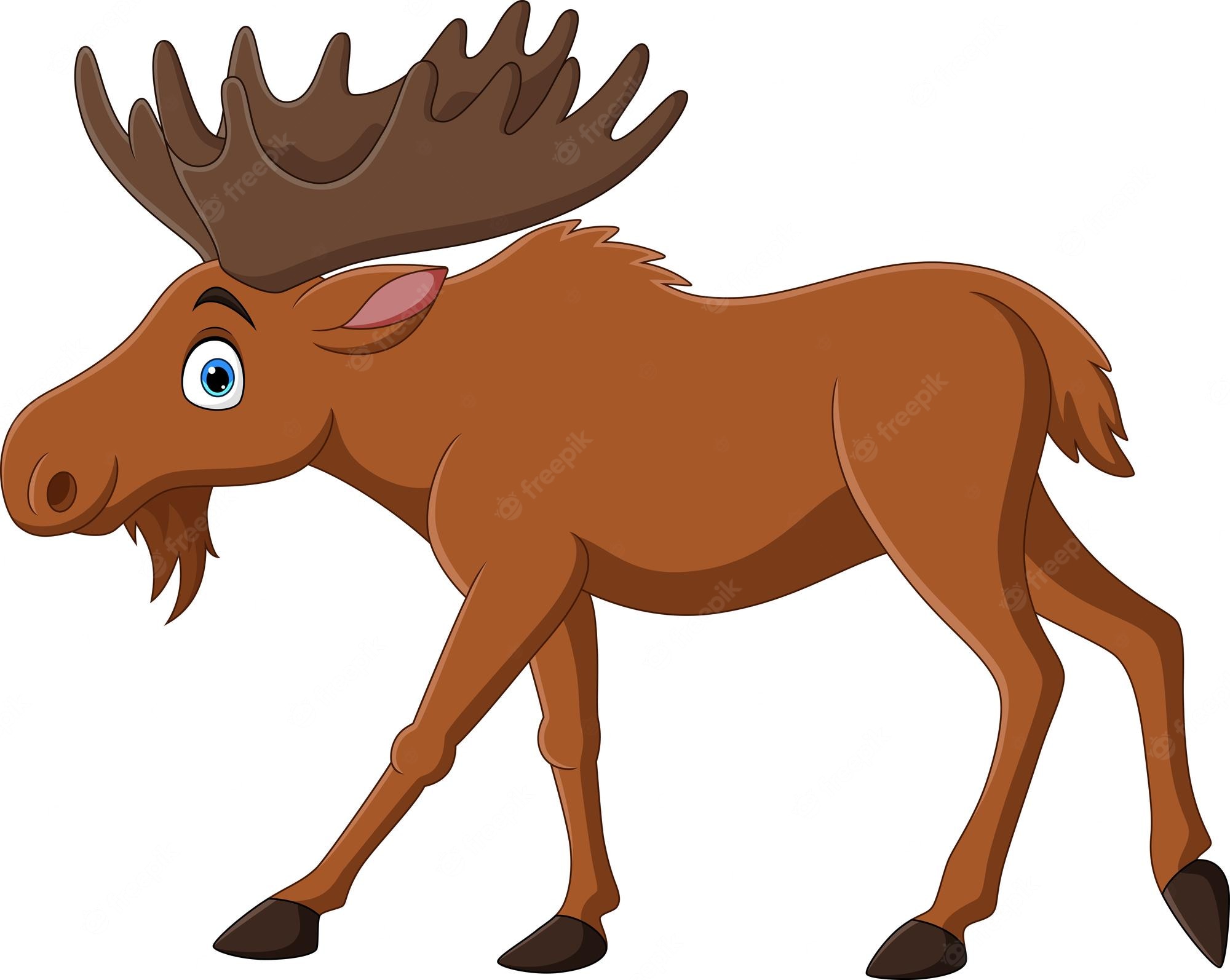 Cute MooseWallpapers