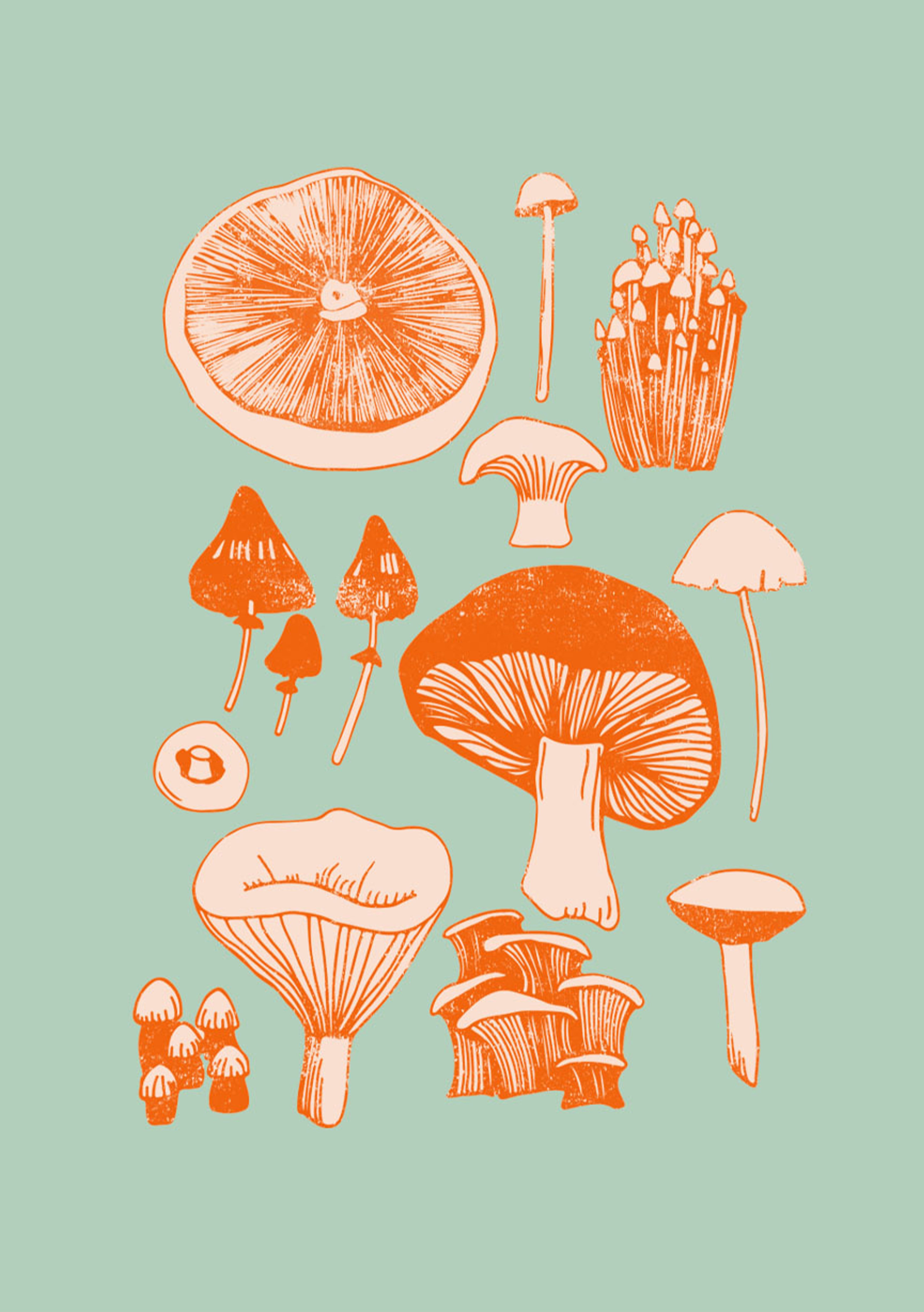 Cute Mushroom Wallpapers