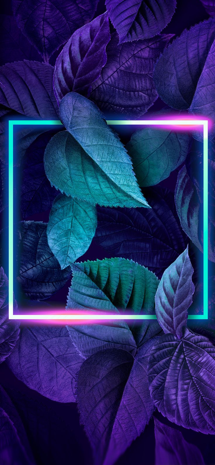 Cute Neon Art Wallpapers