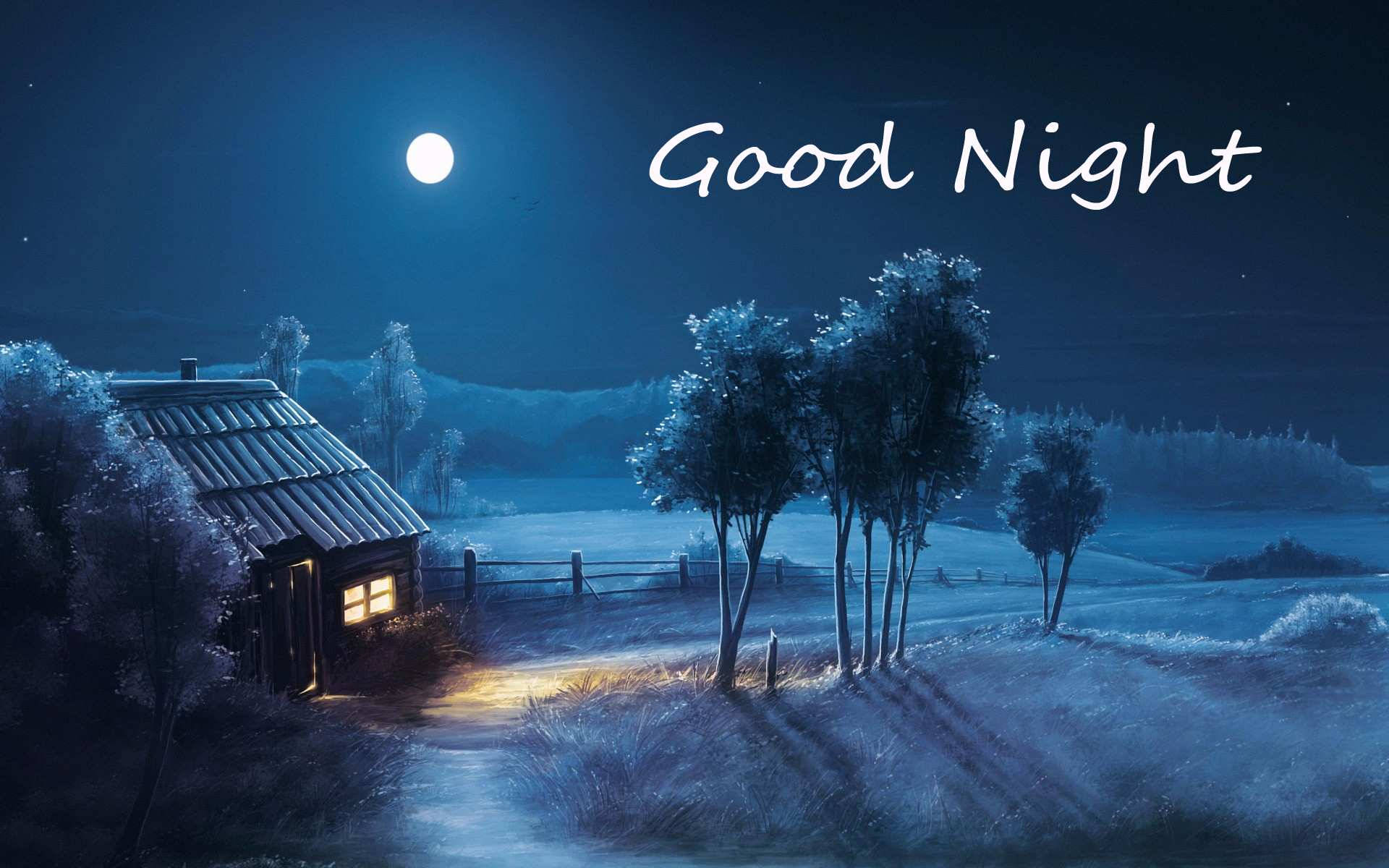 Cute Night Wallpapers