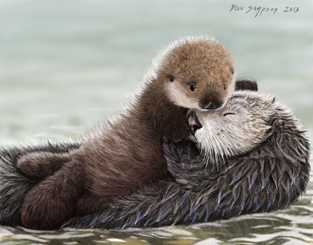 Cute OtterWallpapers