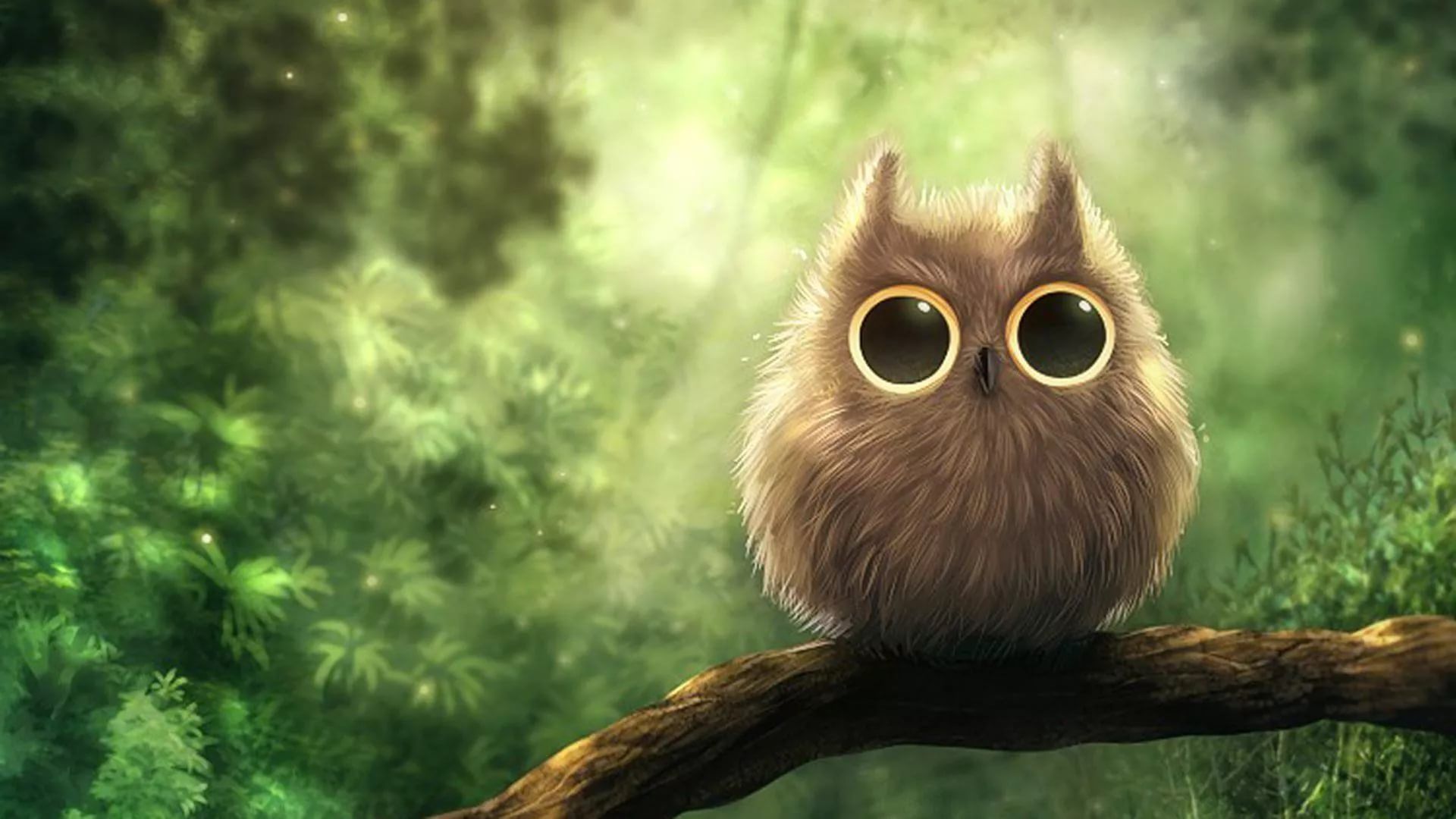 Cute Owl Wallpapers