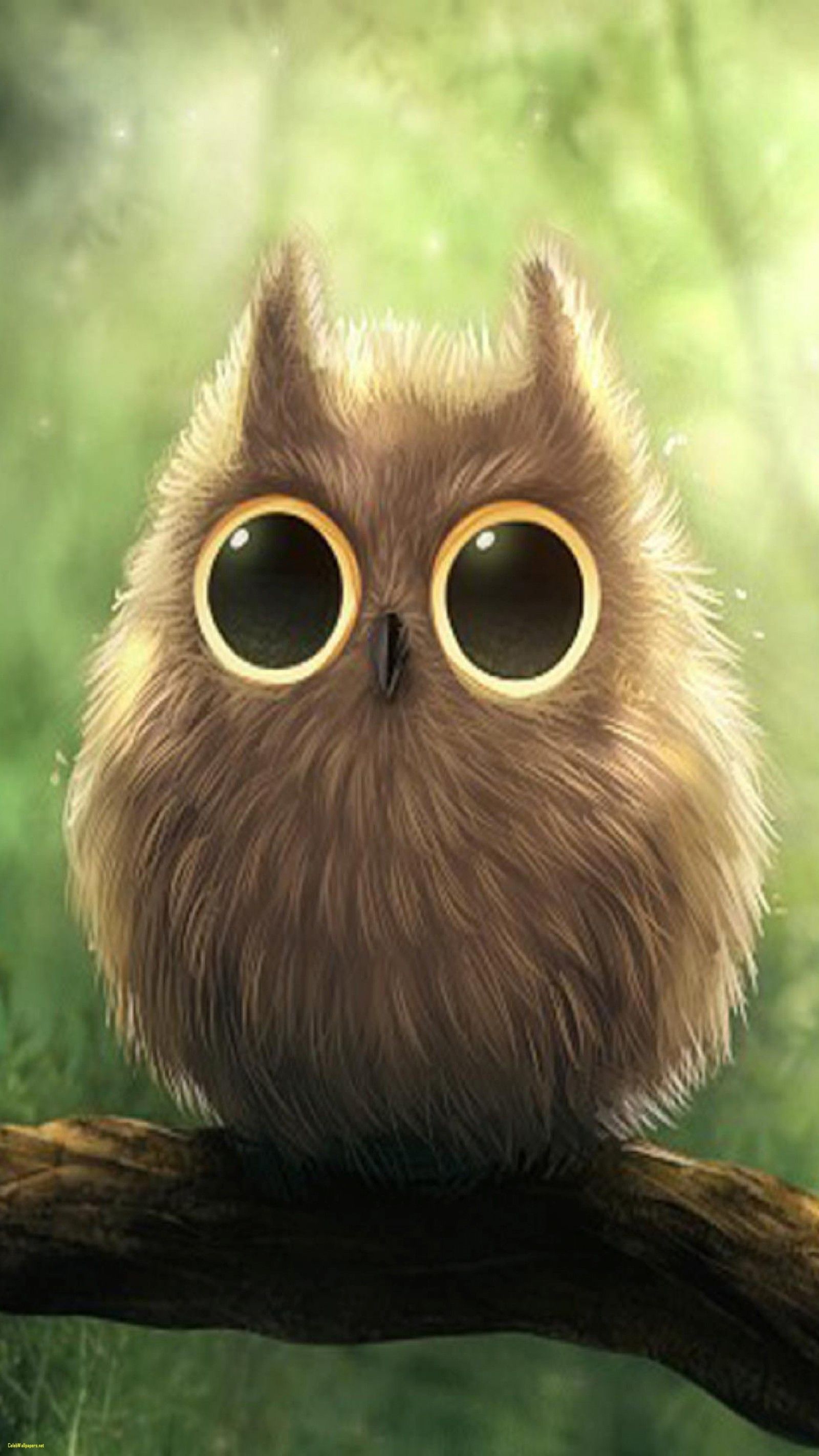 Cute Owl Wallpapers