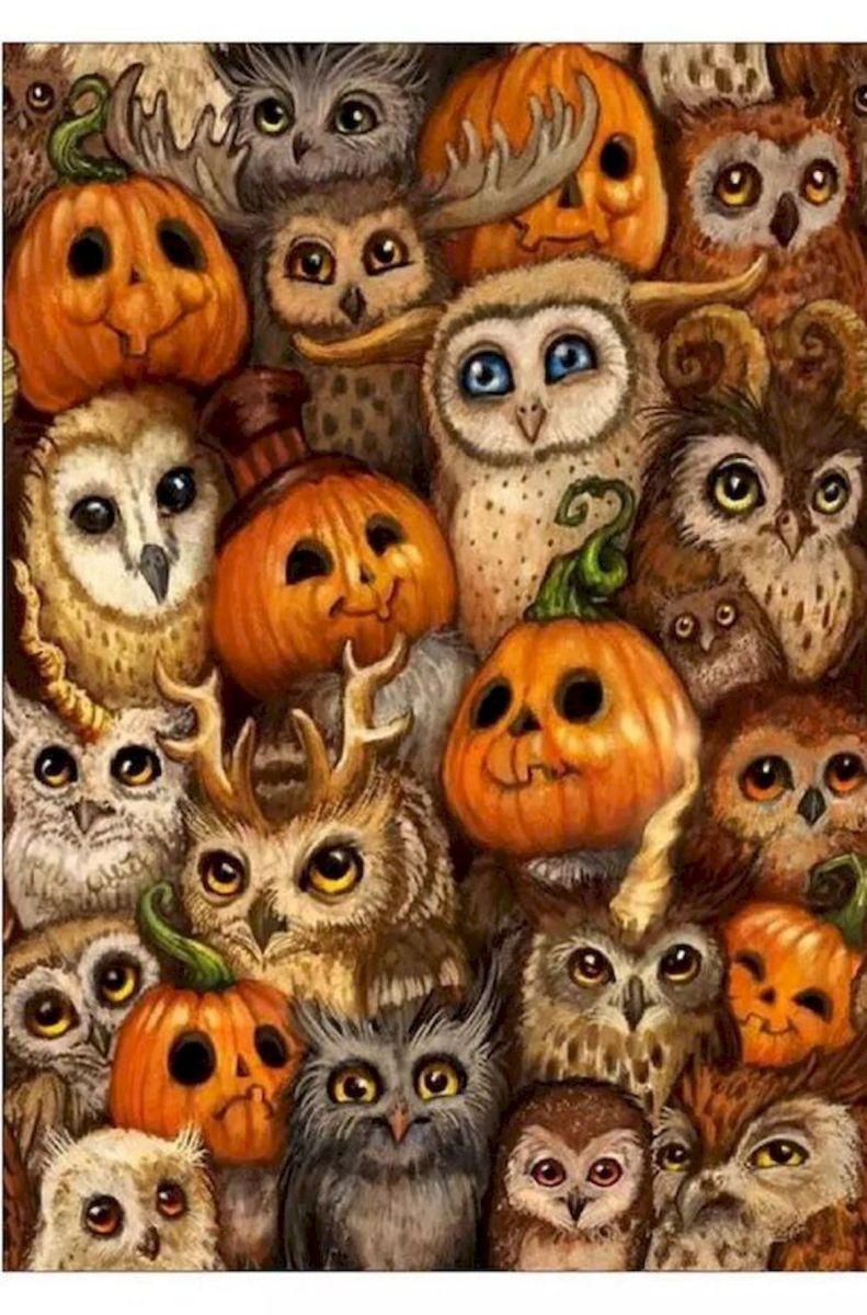 Cute Owl Halloween Wallpapers