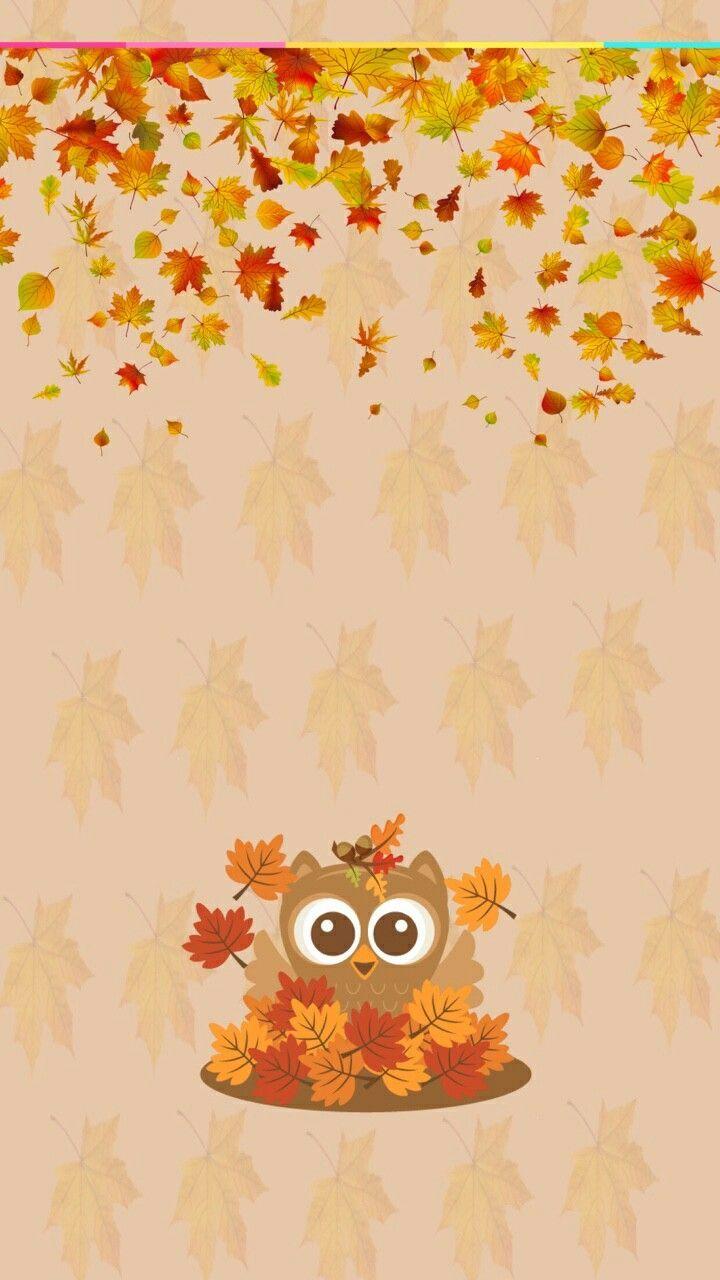 Cute Owl Iphone Wallpapers