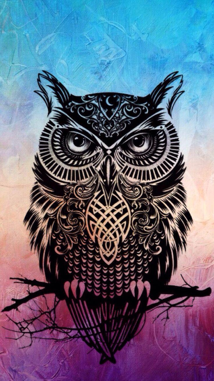 Cute Owl Iphone Wallpapers