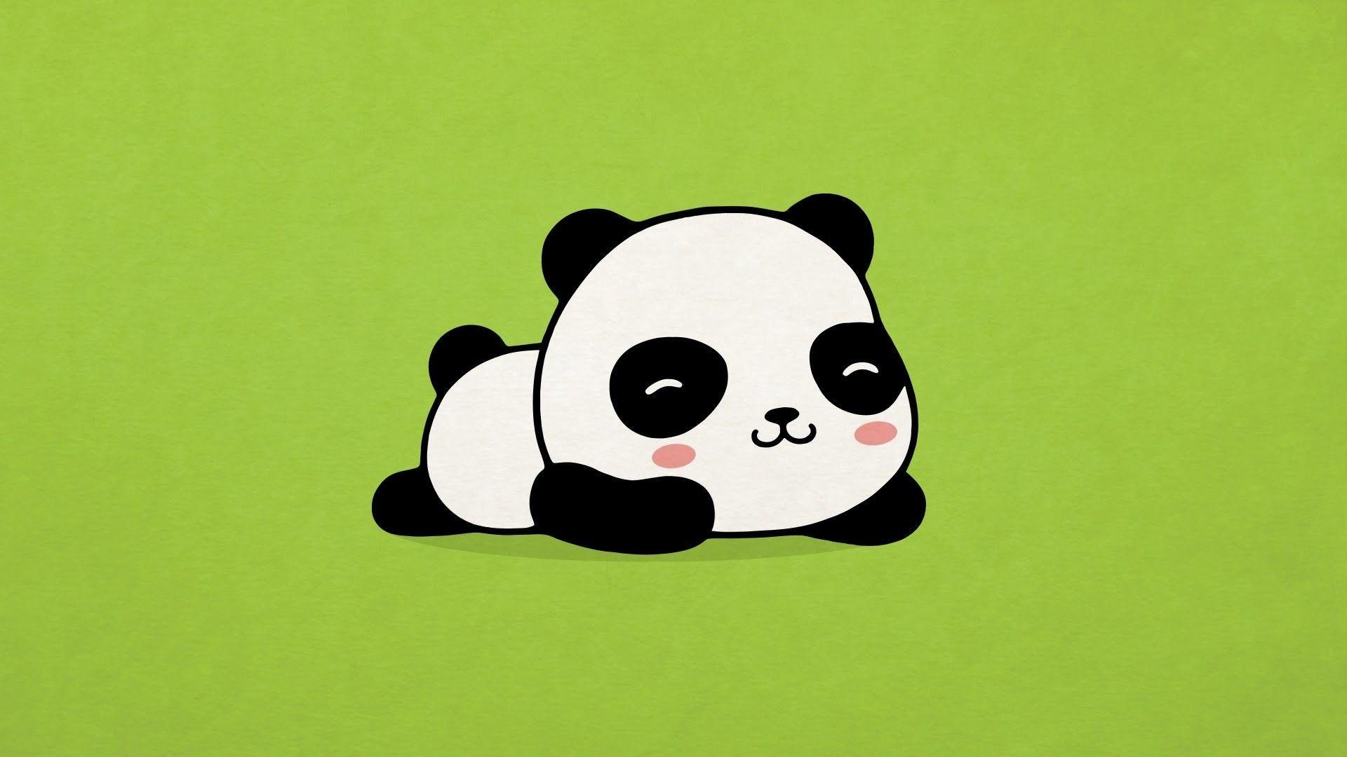 Cute Panda  Wallpapers