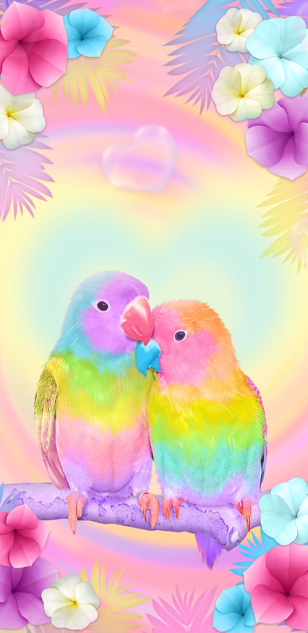 Cute Parrot Wallpapers