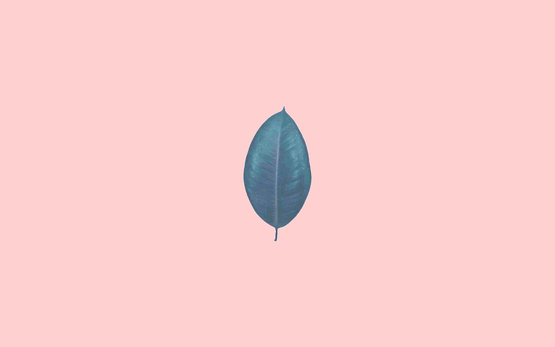 Cute Pastel ComputerWallpapers