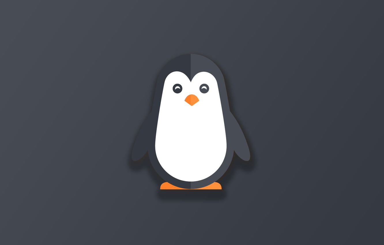 Cute Penguin Wallpapers