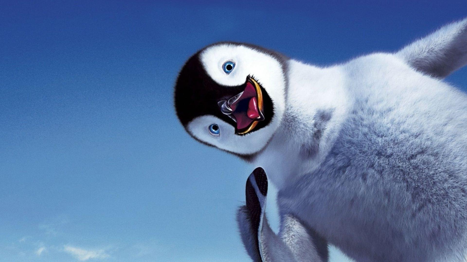 Cute Penguin Wallpapers