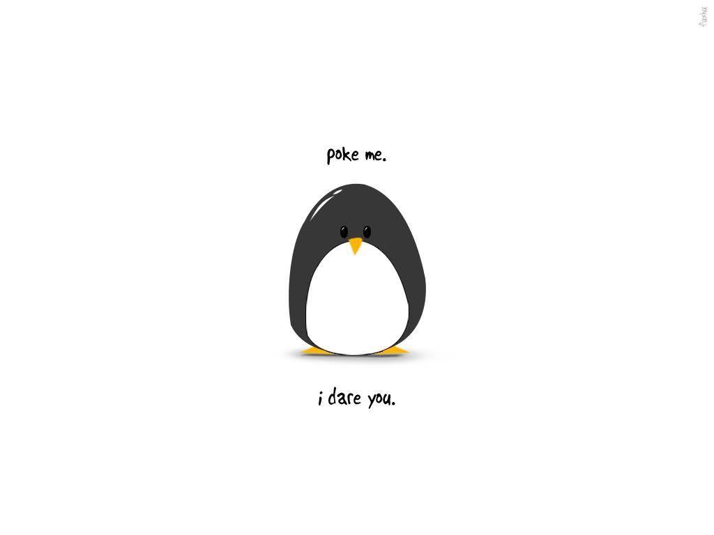 Cute Penguin Cartoon Wallpapers
