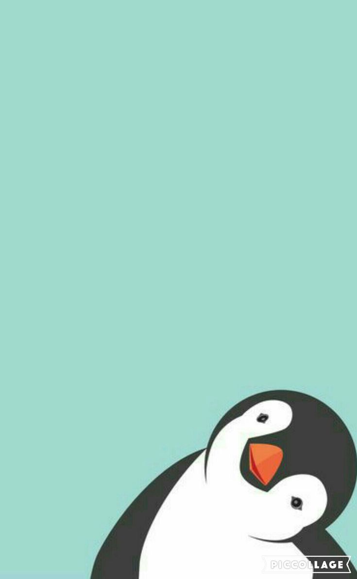 Cute Penguin Cartoon Wallpapers