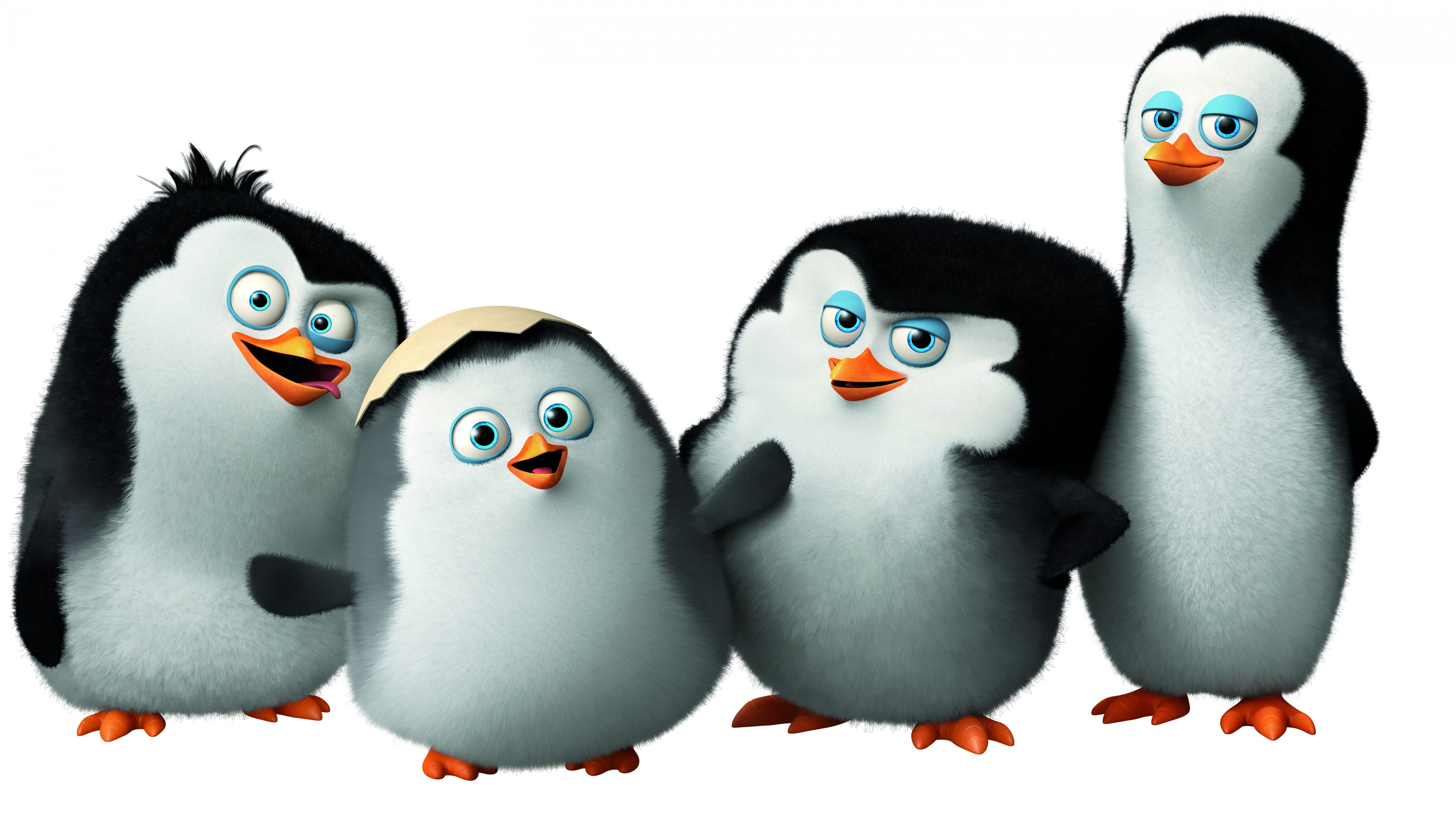 Cute Penguin Cartoon Wallpapers