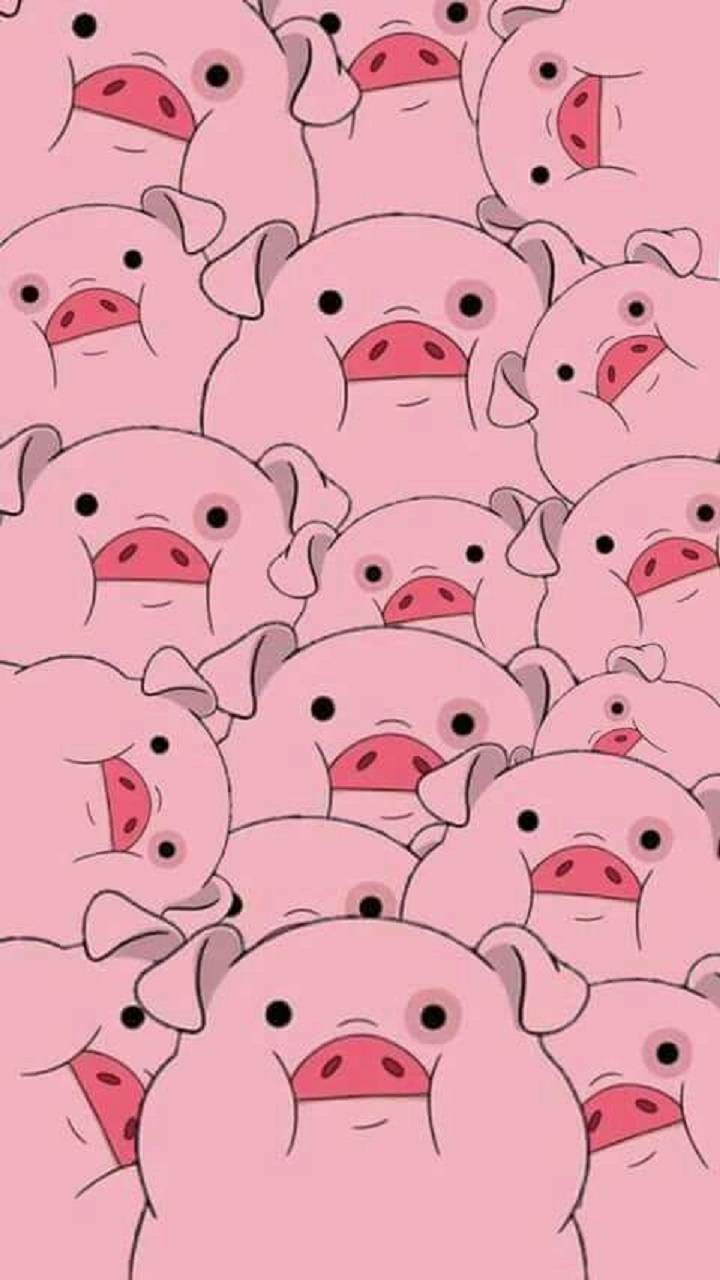 Cute Pig Iphone Wallpapers