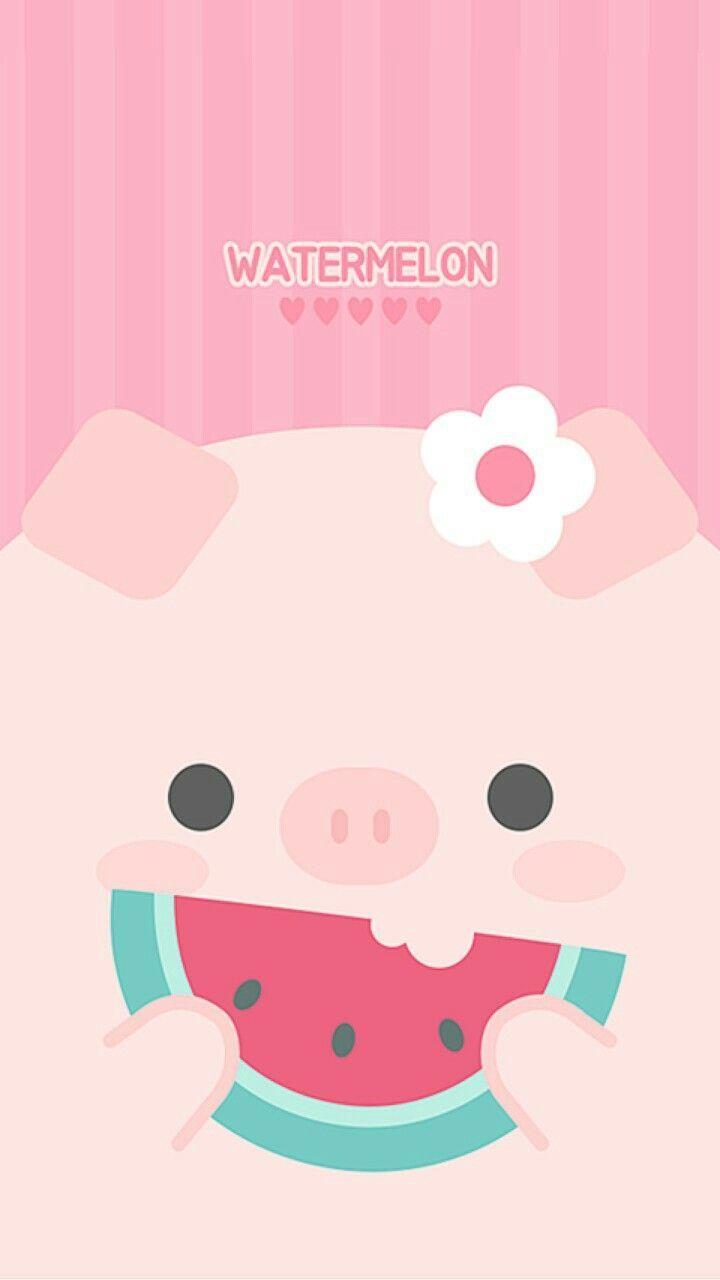 Cute Pig Iphone Wallpapers