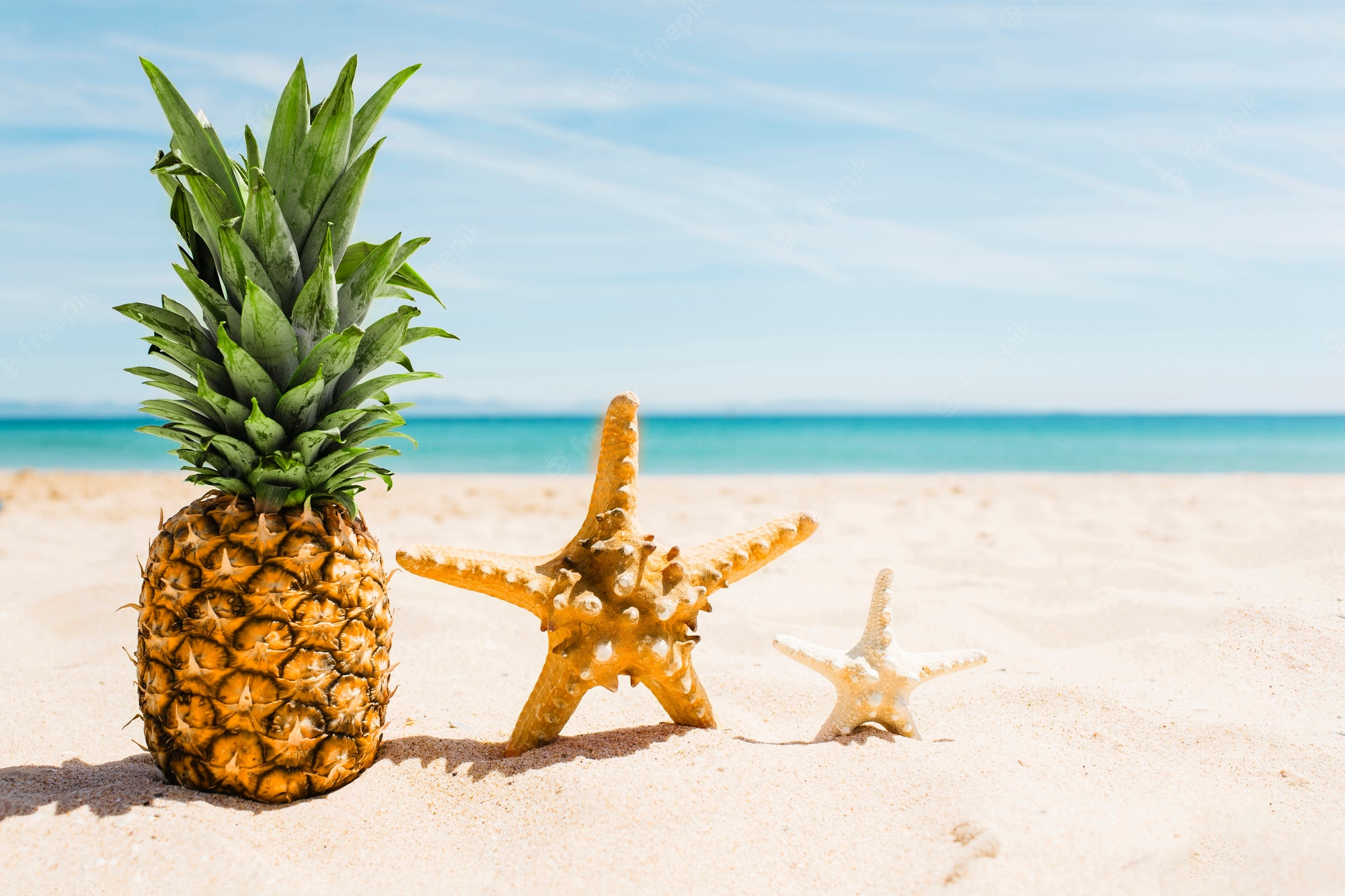 Cute Pineapple BeachWallpapers