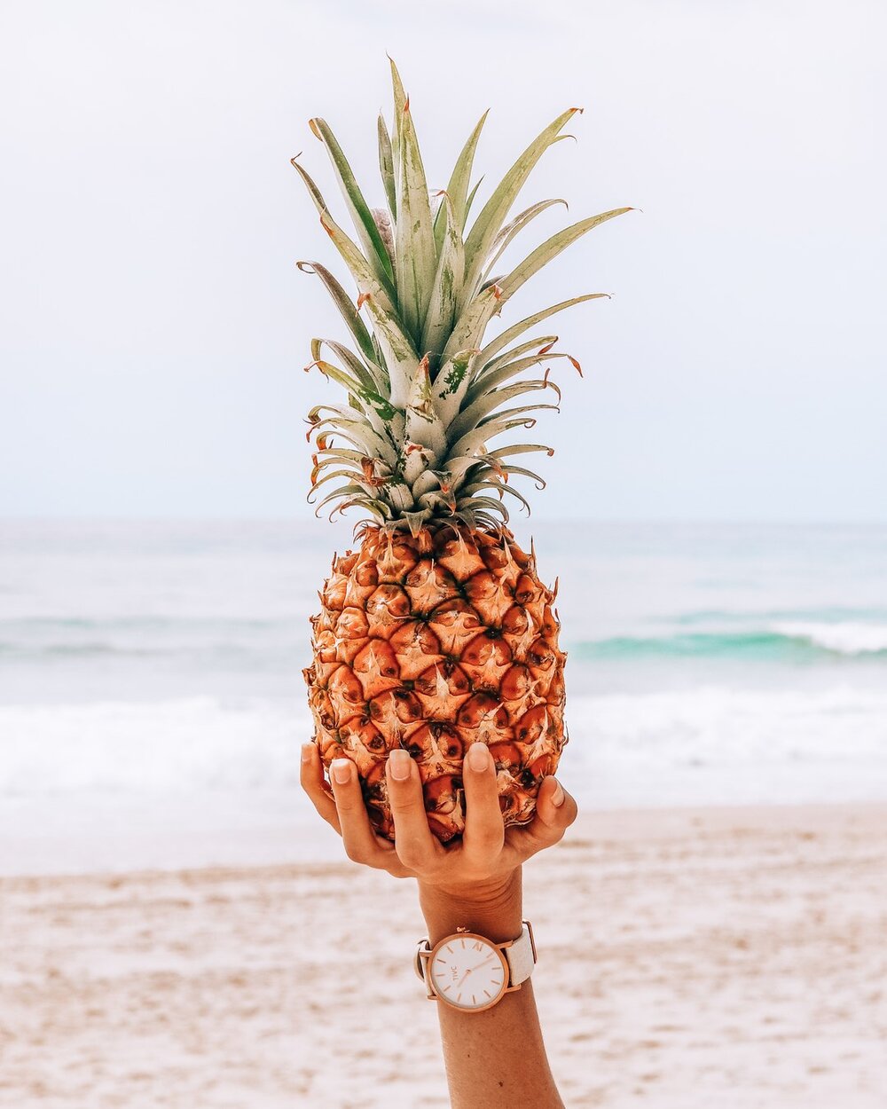Cute Pineapple BeachWallpapers