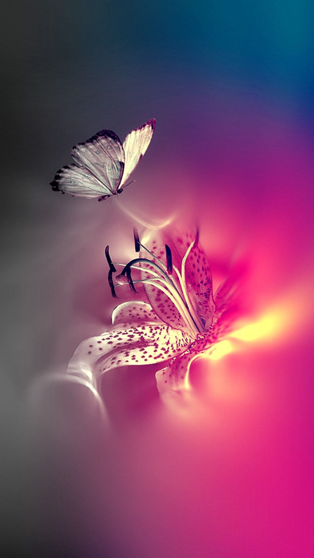 Cute Pink Butterfly Wallpapers