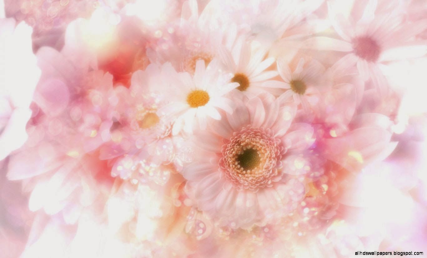 Cute Pink Flower Wallpapers