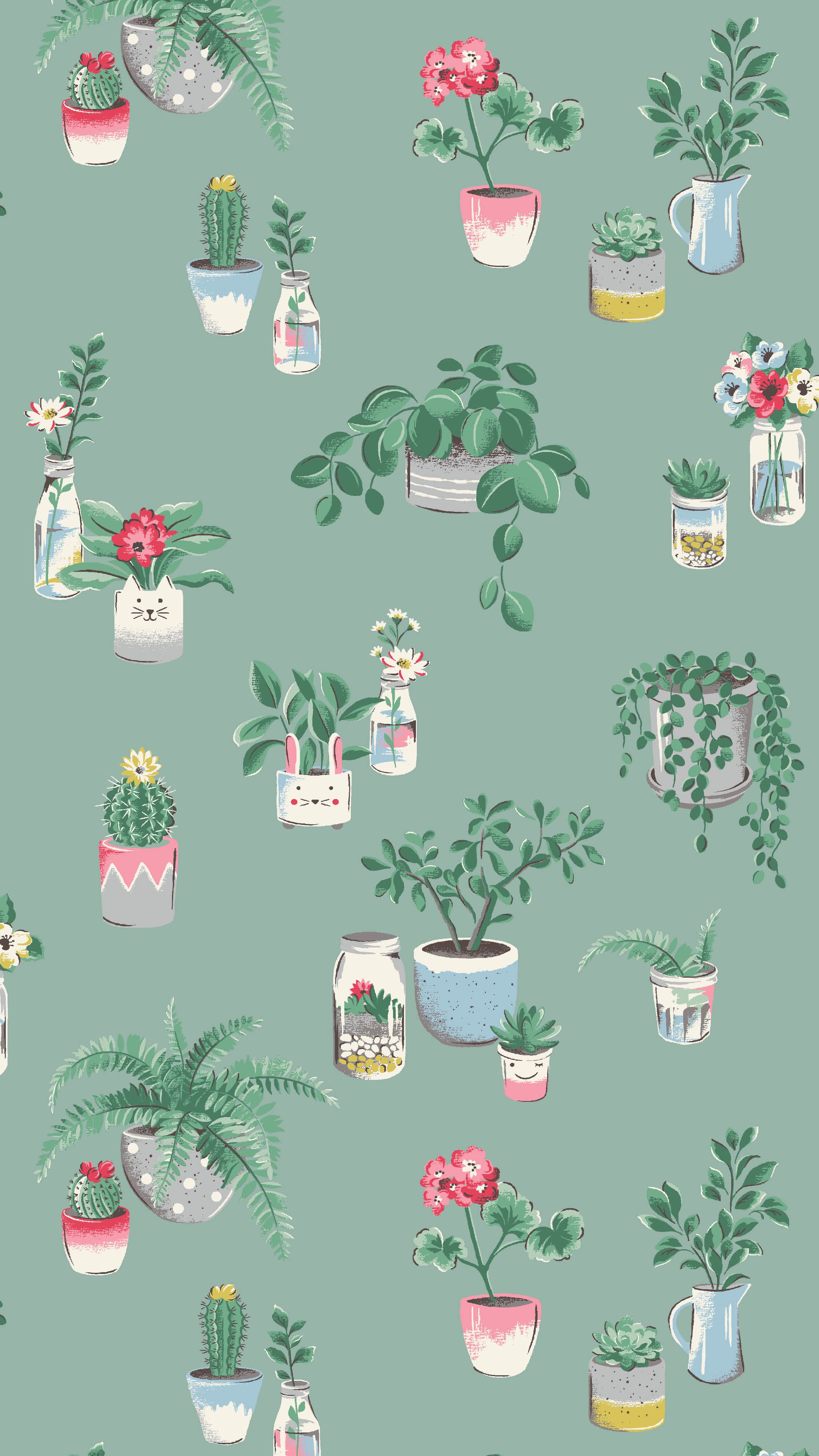 Cute PlantWallpapers