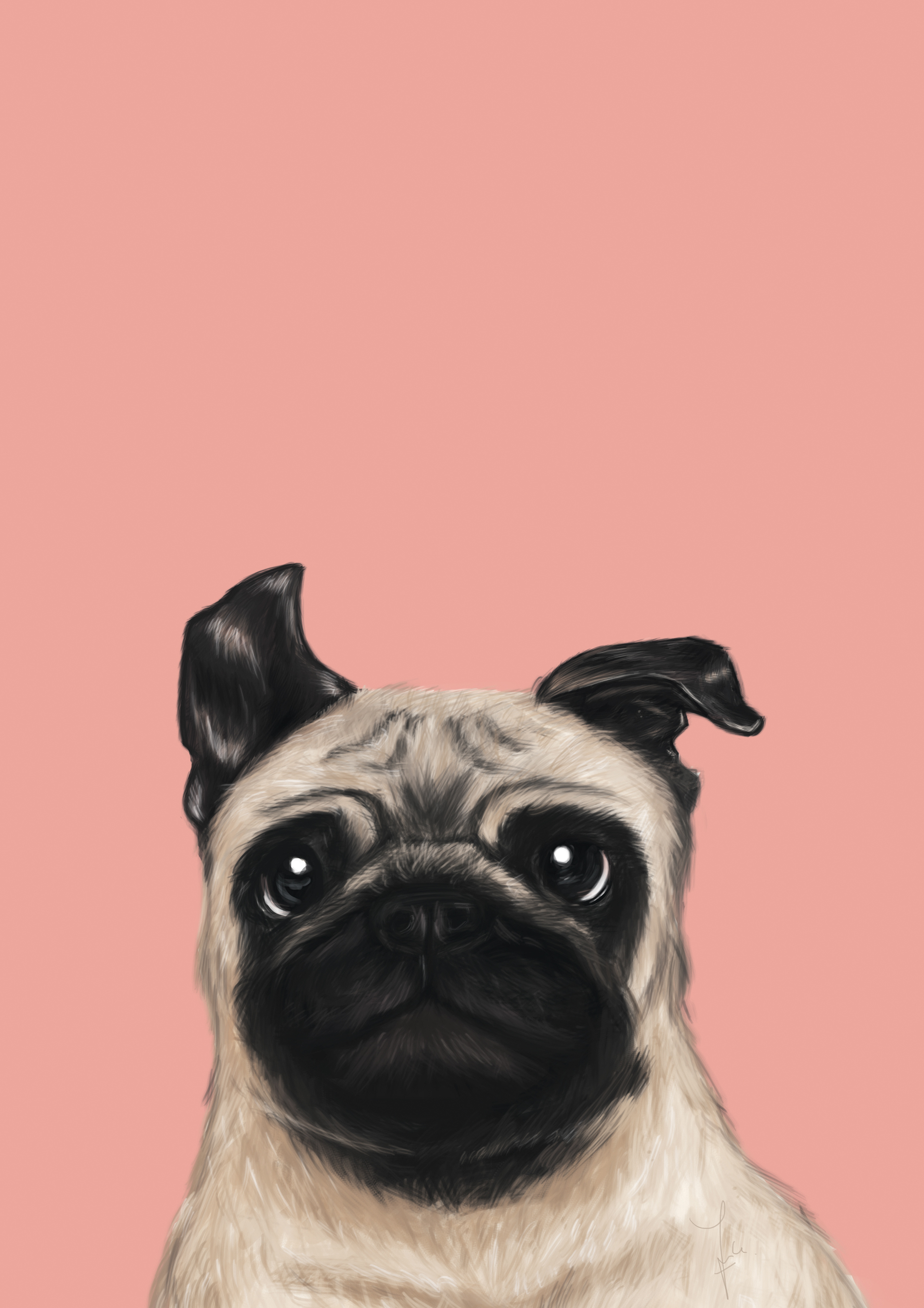 Cute Pug IphoneWallpapers