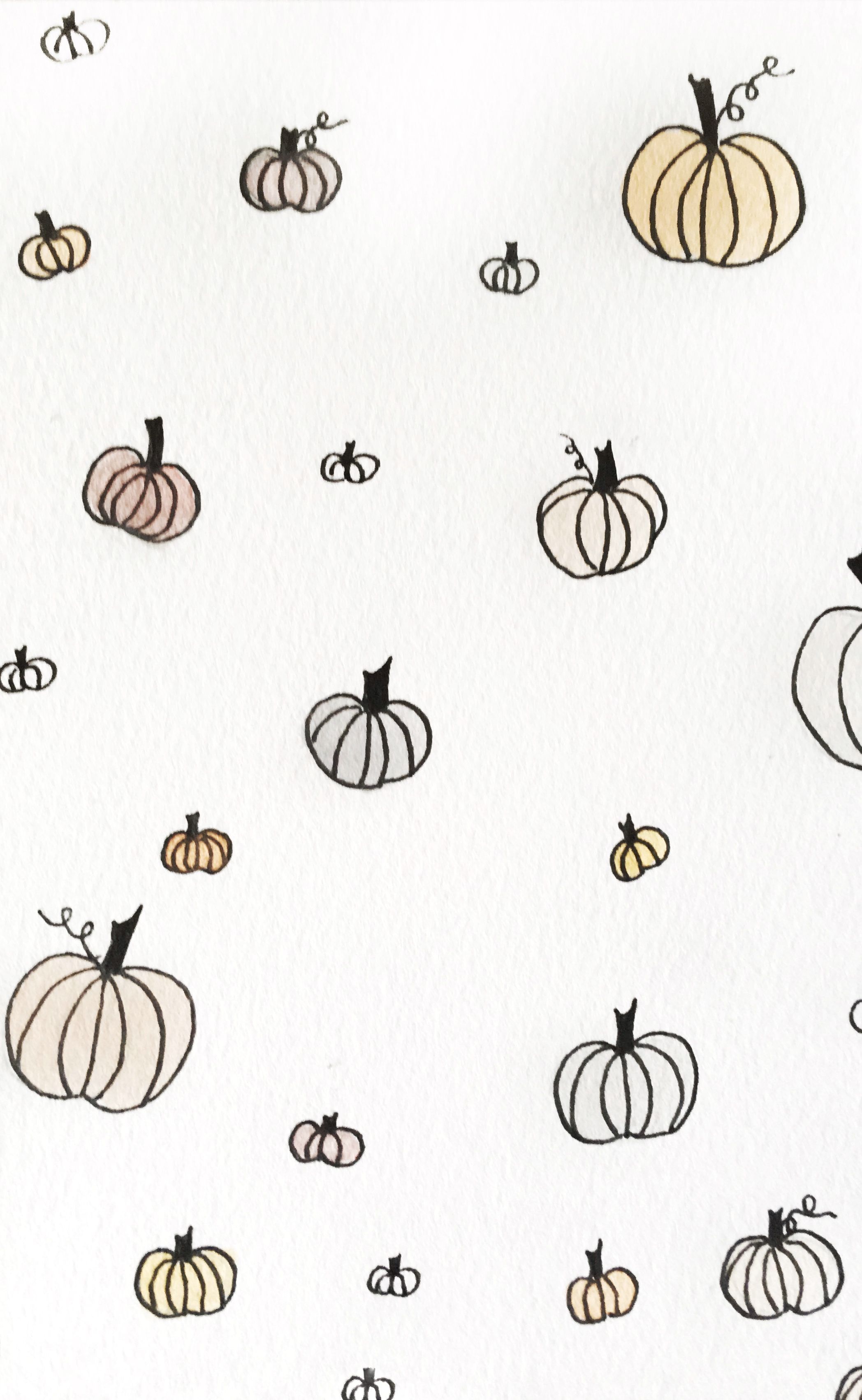 Cute PumpkinWallpapers