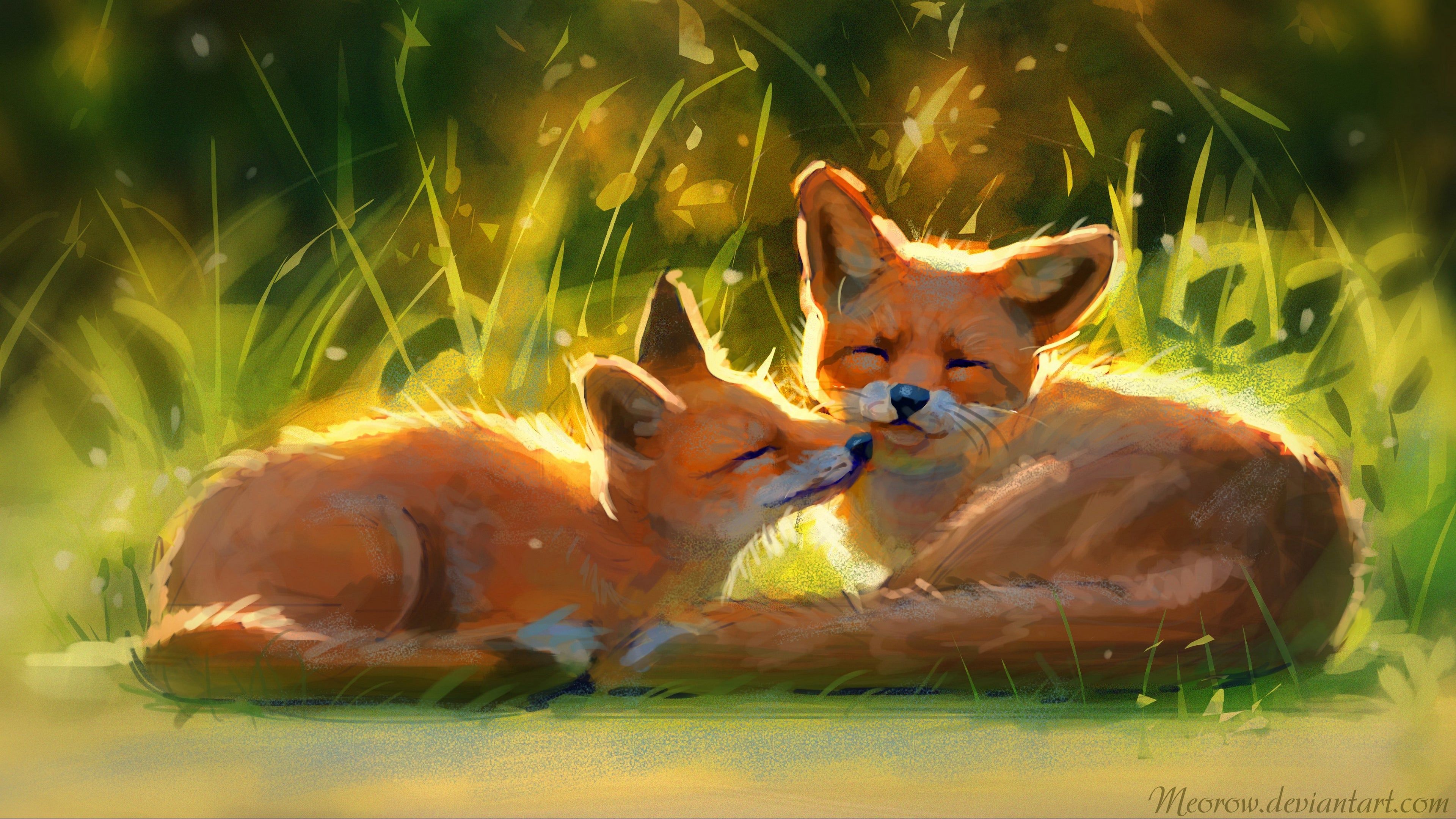 Cute Red FoxWallpapers