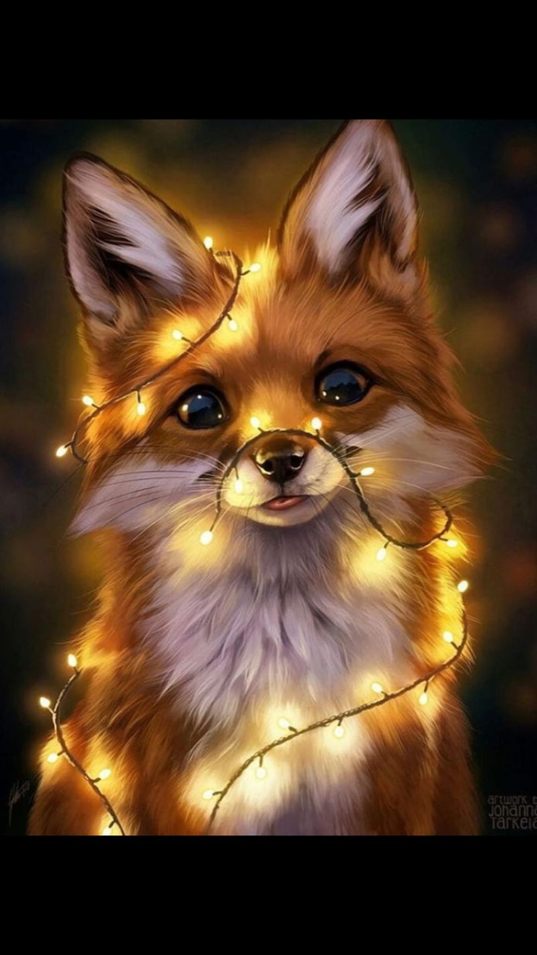 Cute Red FoxWallpapers