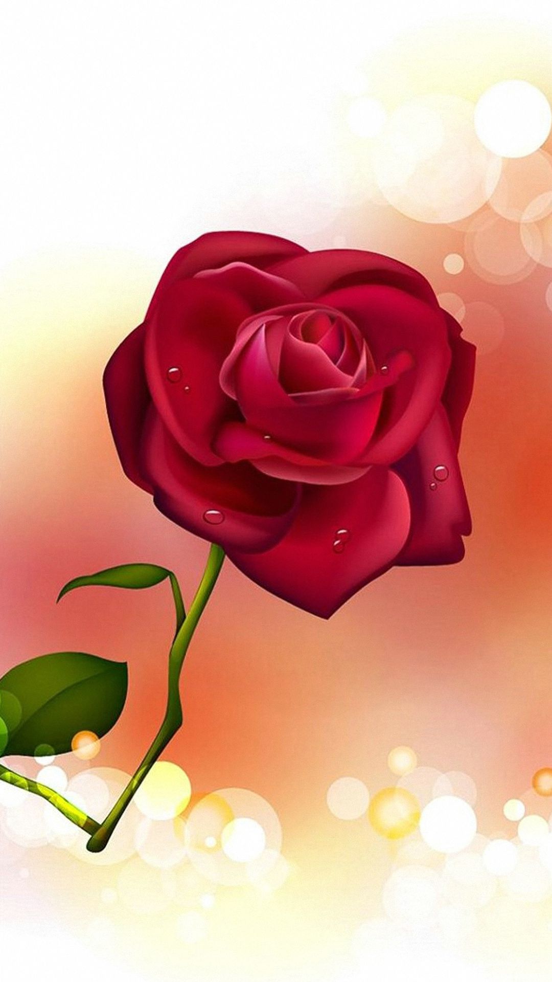 Cute Roses Hd  Wallpapers