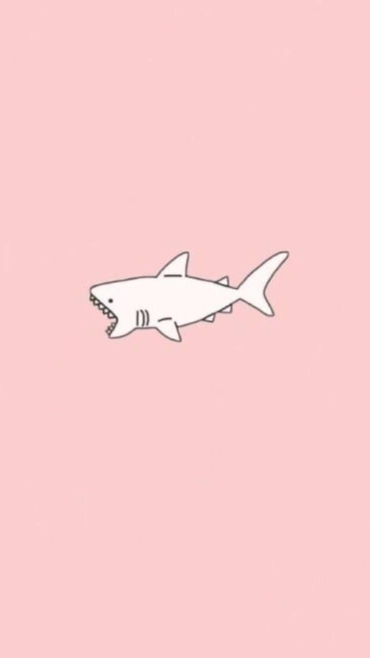 Cute SharkWallpapers