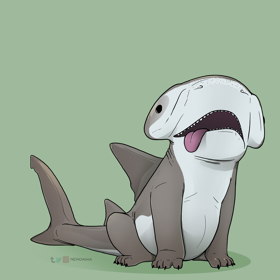 Cute SharkWallpapers