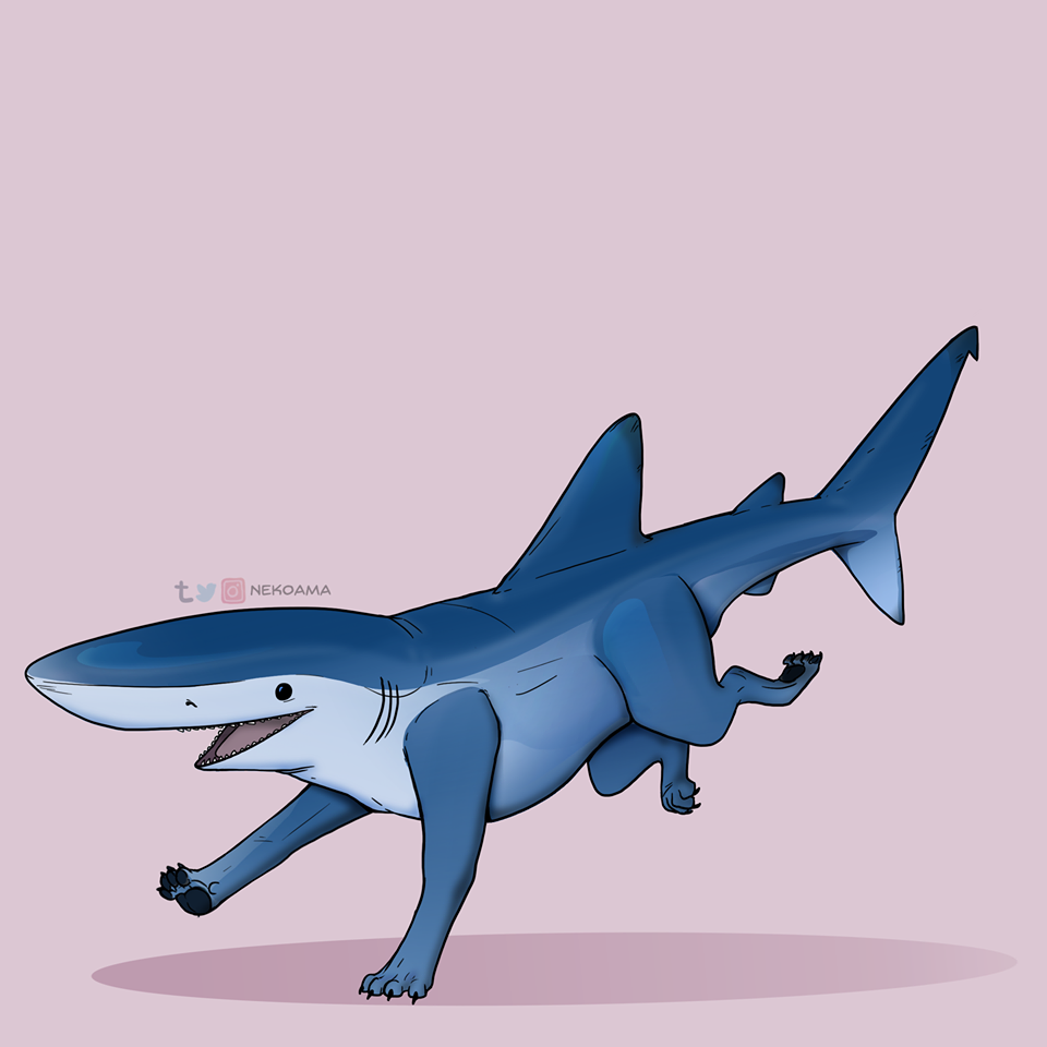 Cute SharkWallpapers