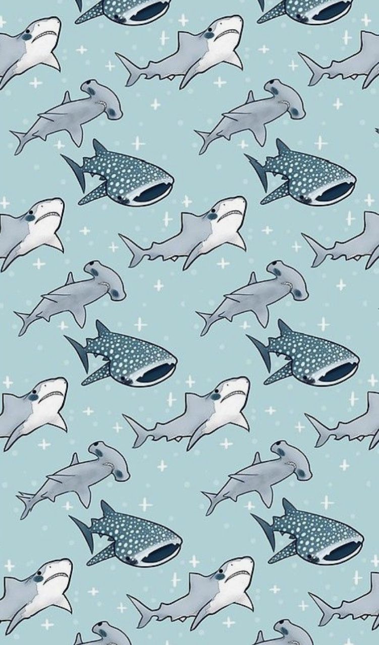 Cute SharkWallpapers