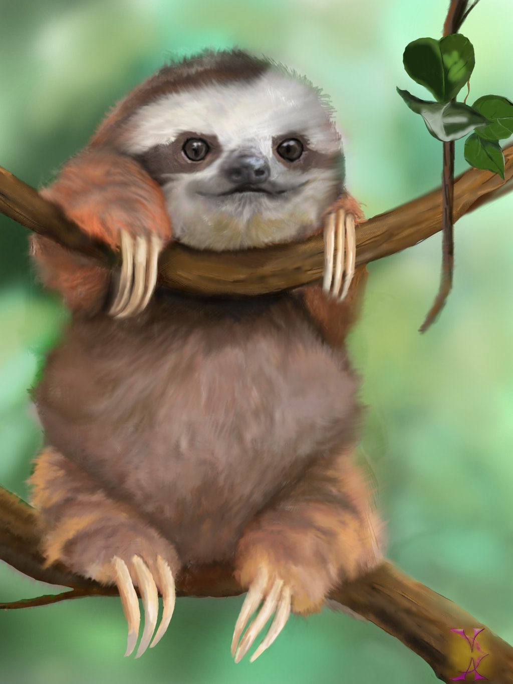 Cute SlothWallpapers