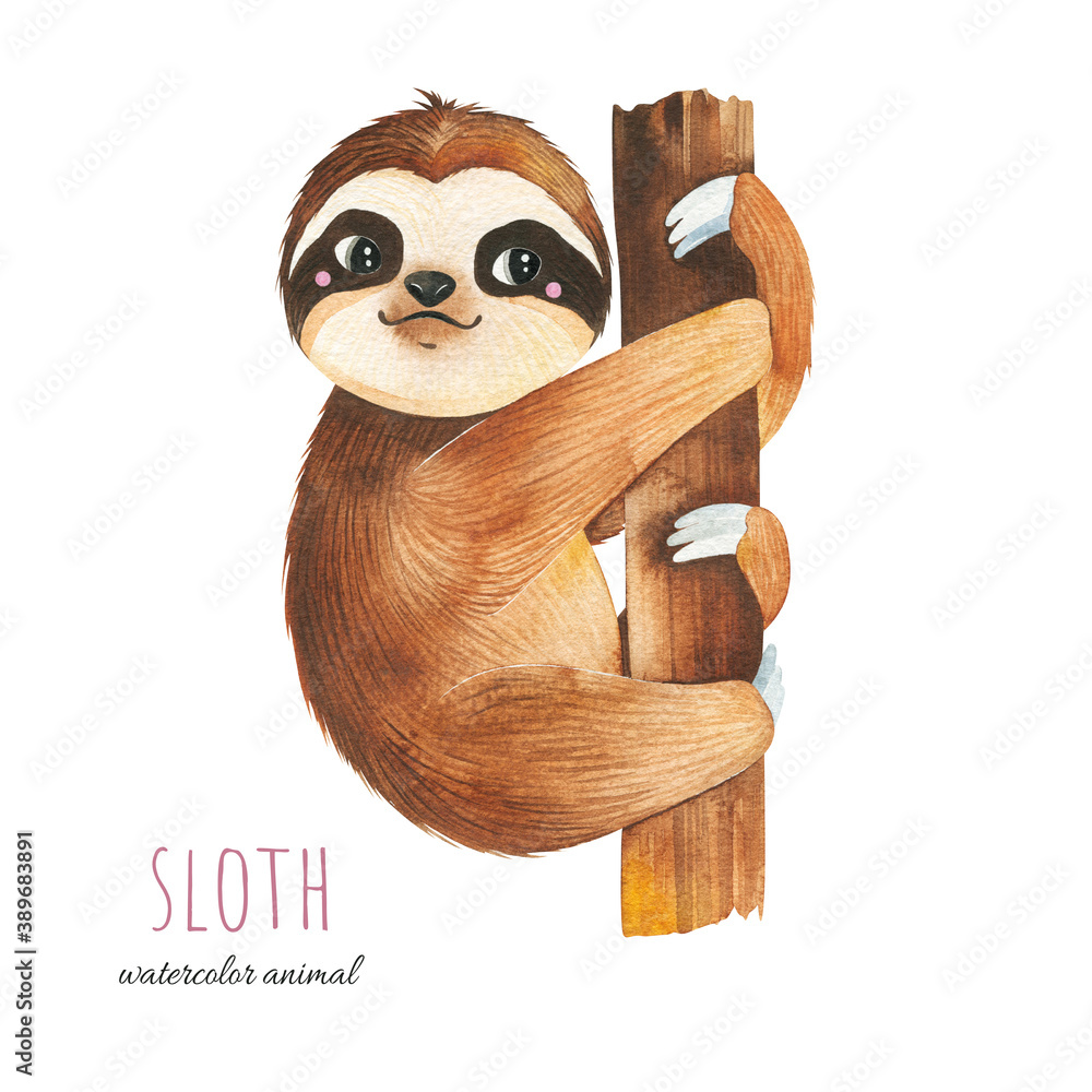 Cute SlothWallpapers