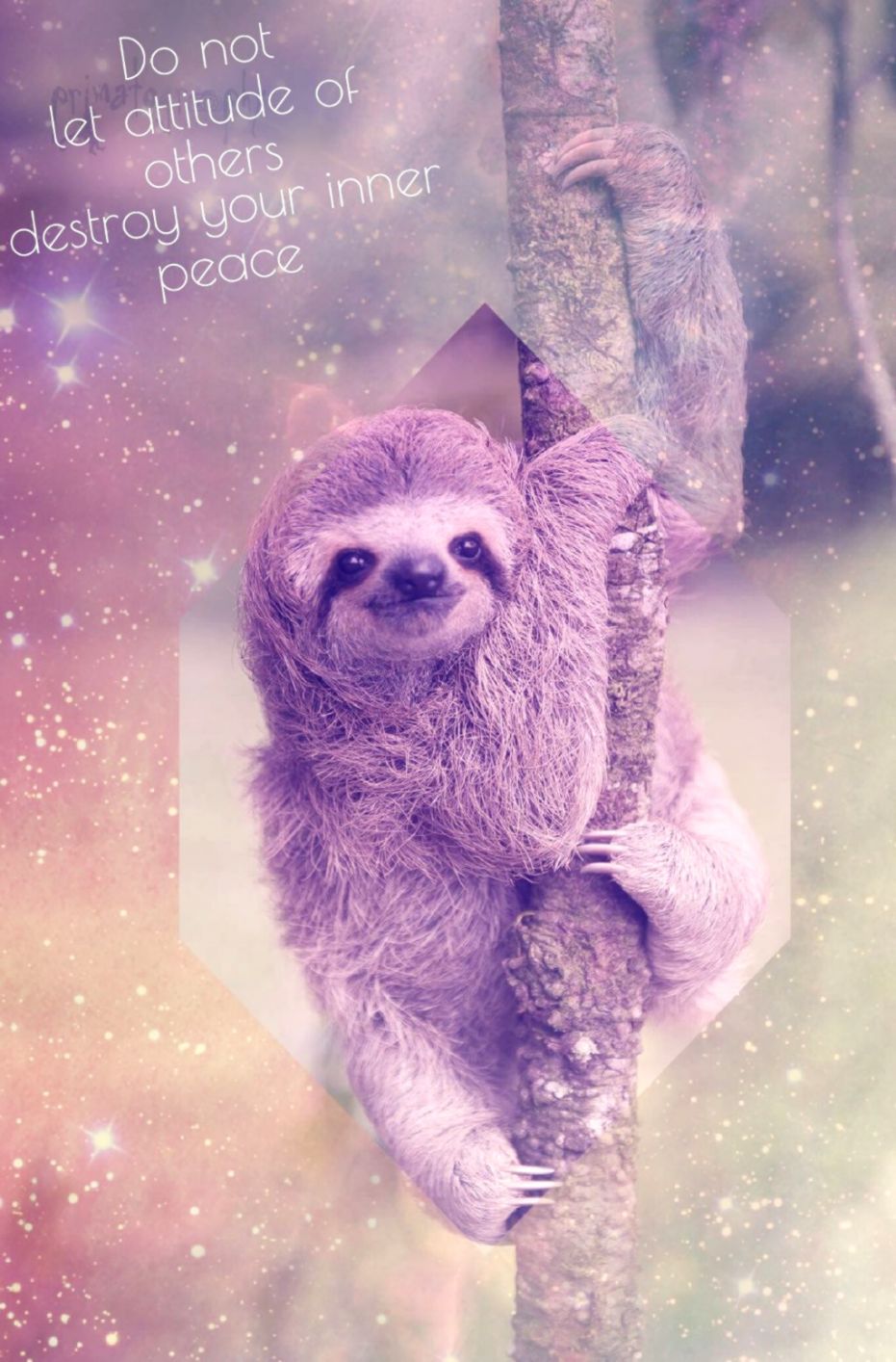 Cute SlothWallpapers