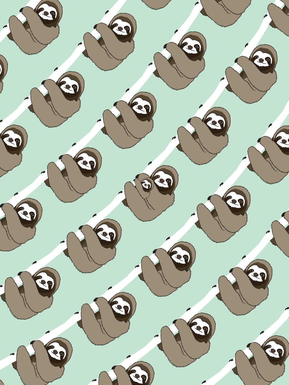 Cute SlothWallpapers