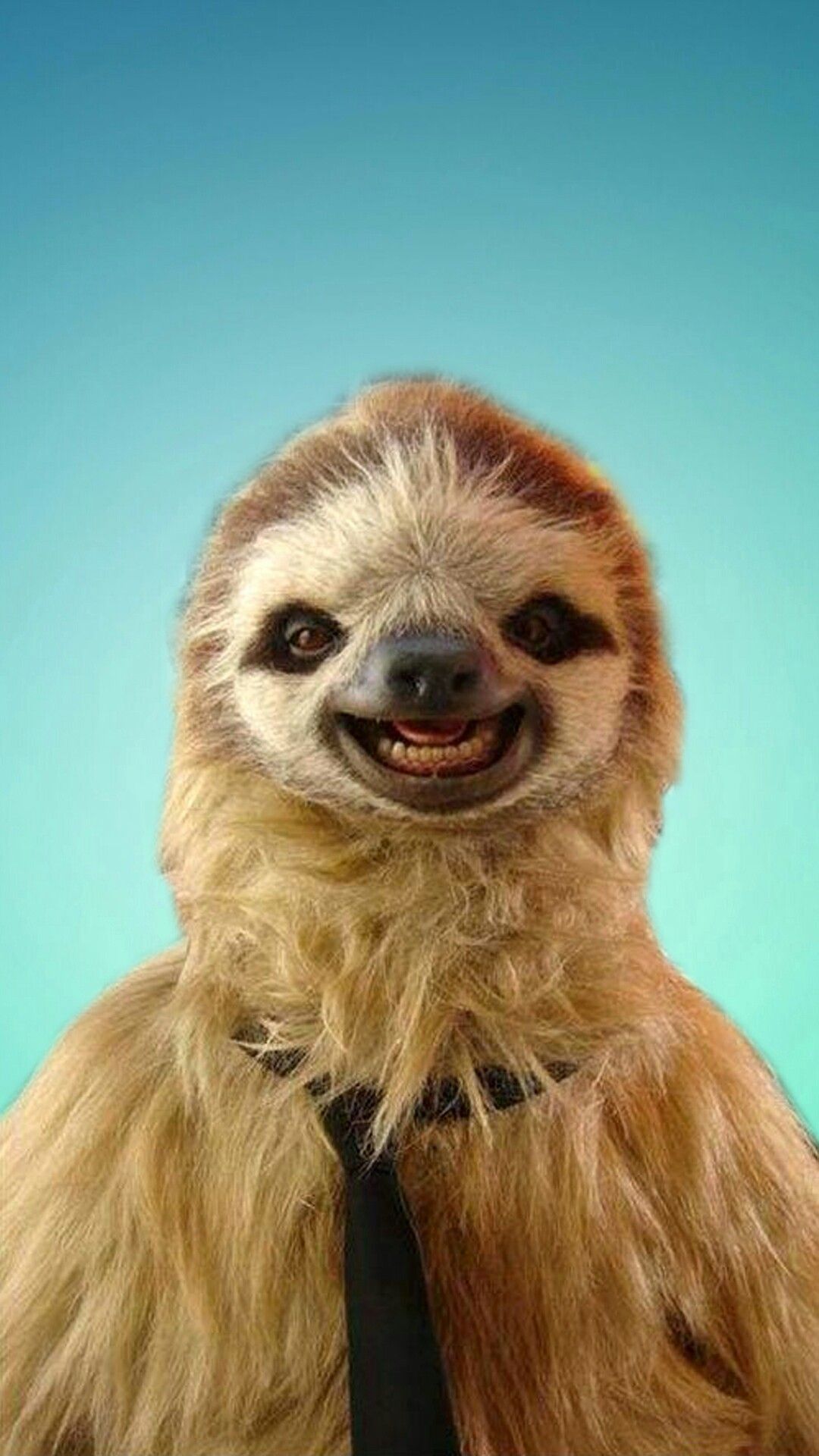 Cute SlothWallpapers