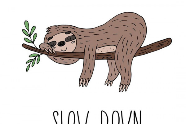 Cute SlothsWallpapers