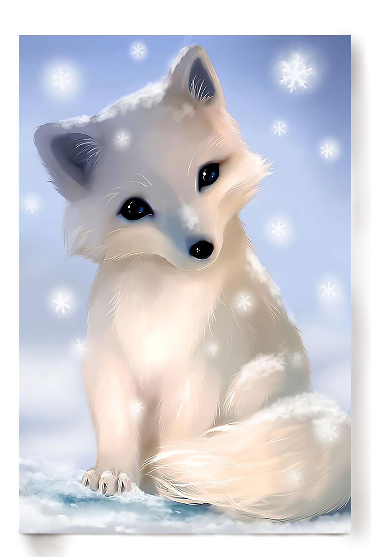 Cute Snow Fox Wallpapers