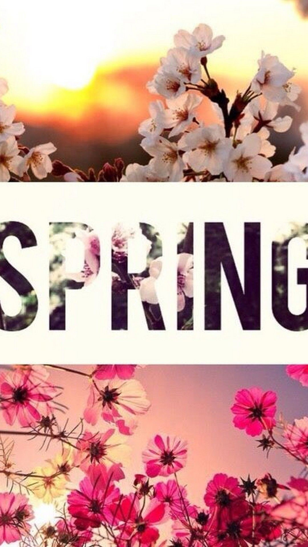 Cute Spring Wallpapers