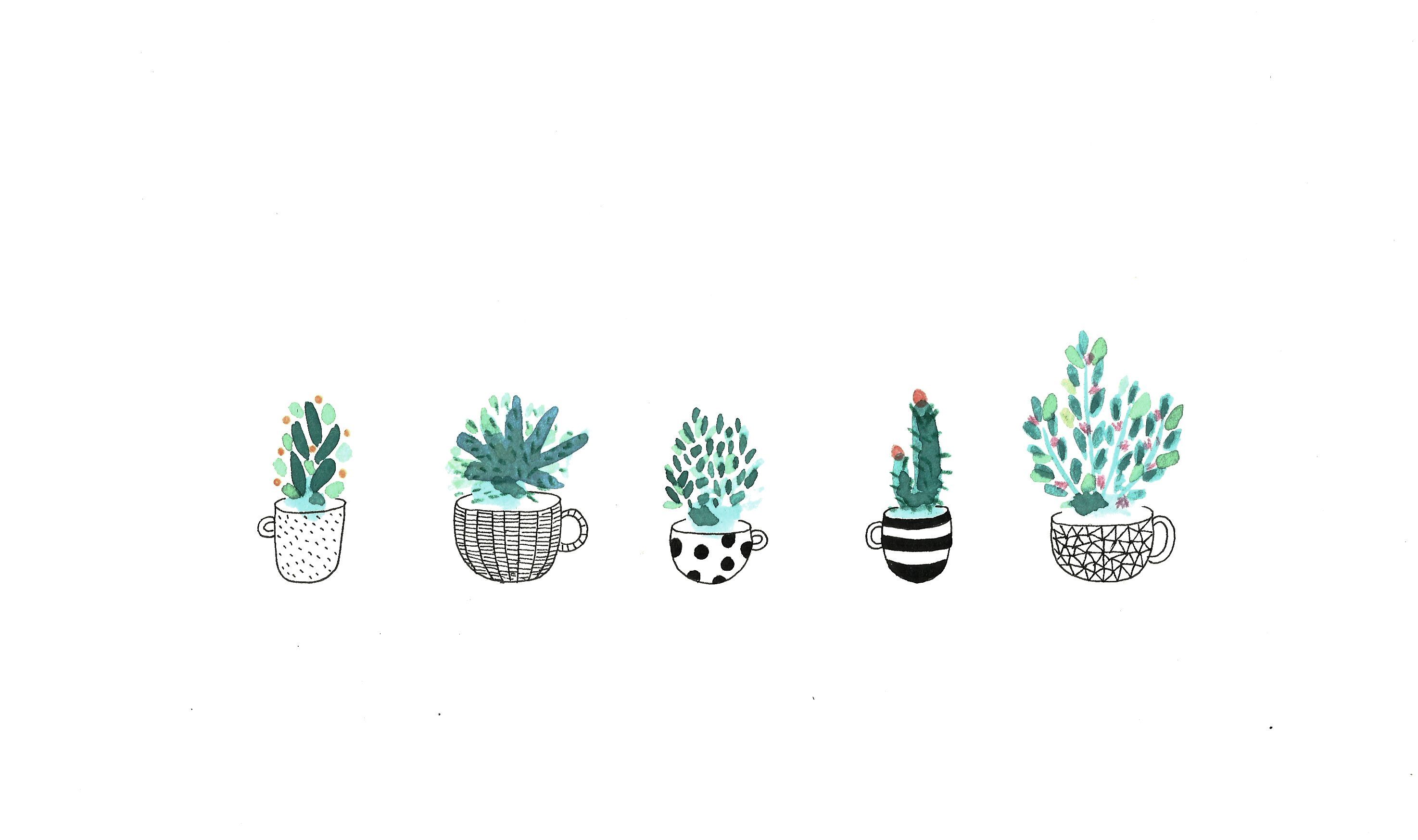 Cute Succulent Wallpapers