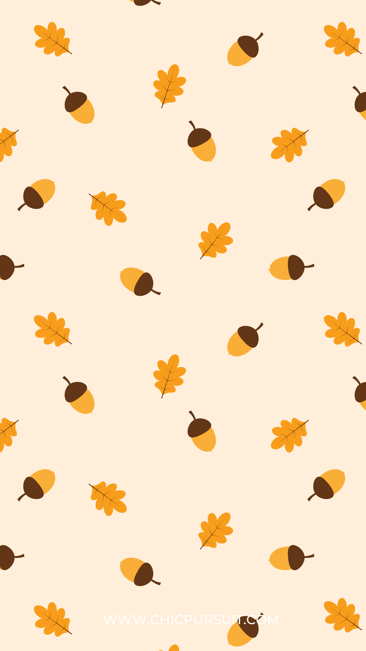 Cute Thanksgiving  Wallpapers