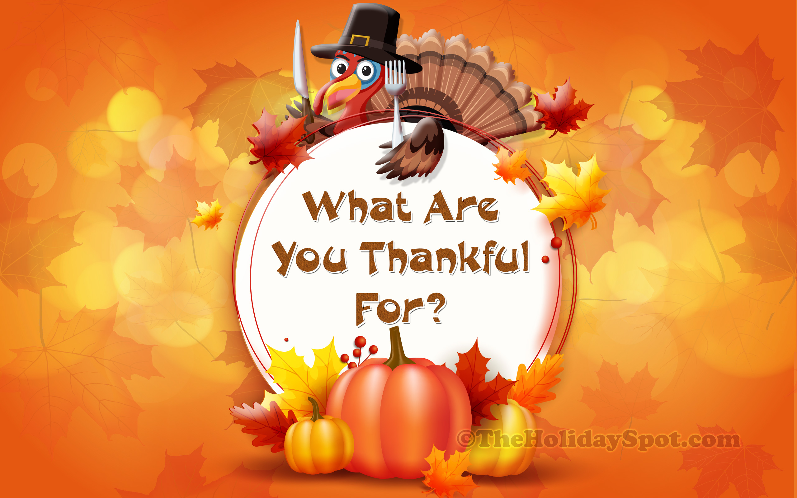 Cute Thanksgiving  Wallpapers