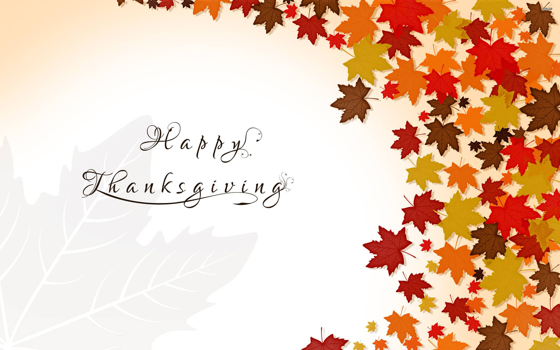 Cute Thanksgiving  Wallpapers