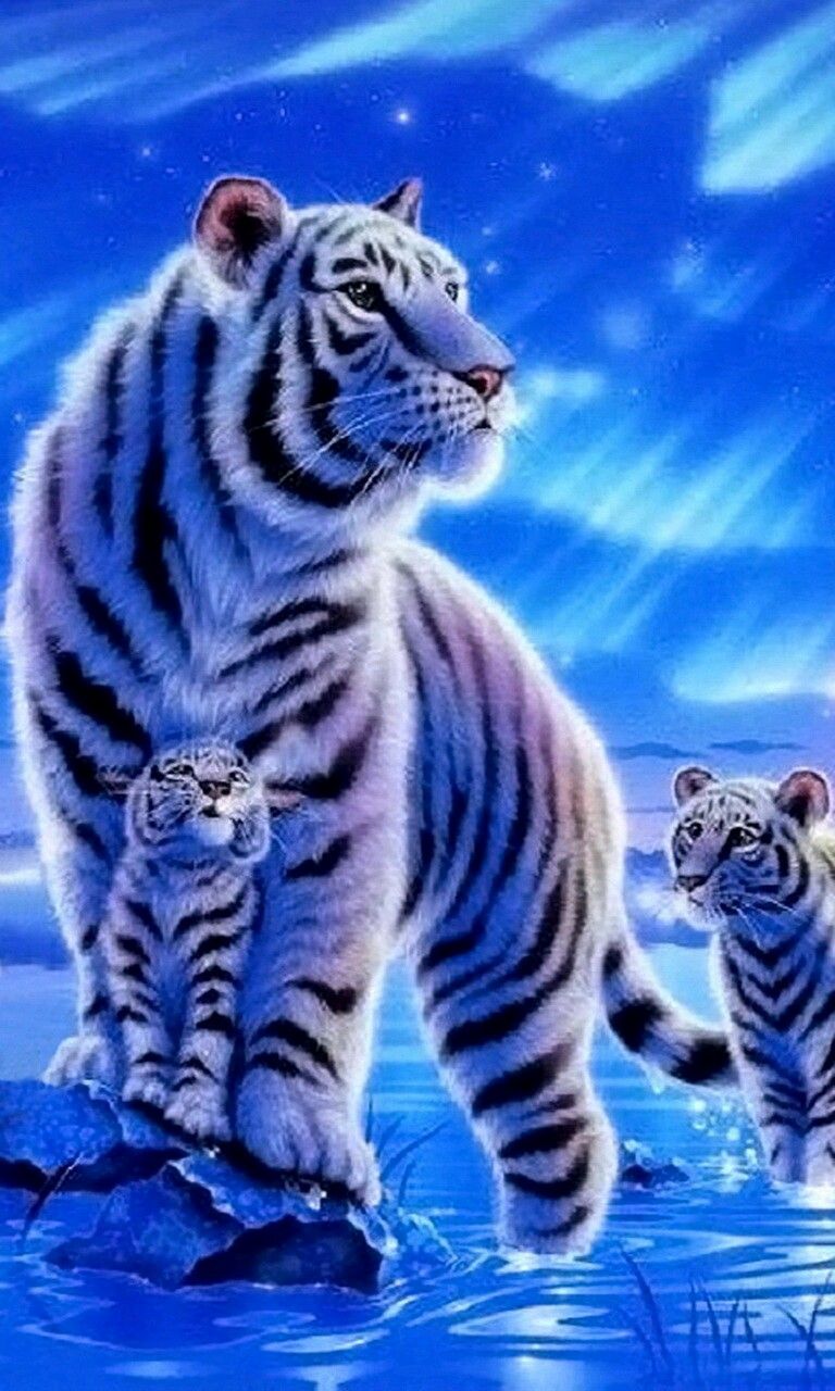 Cute Tiger Wallpapers